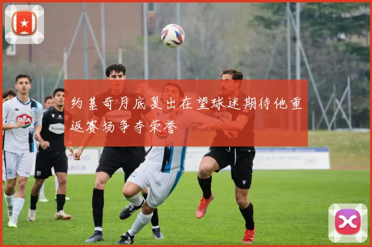 约基奇月底复出在望球迷期待他重返赛场争夺荣誉